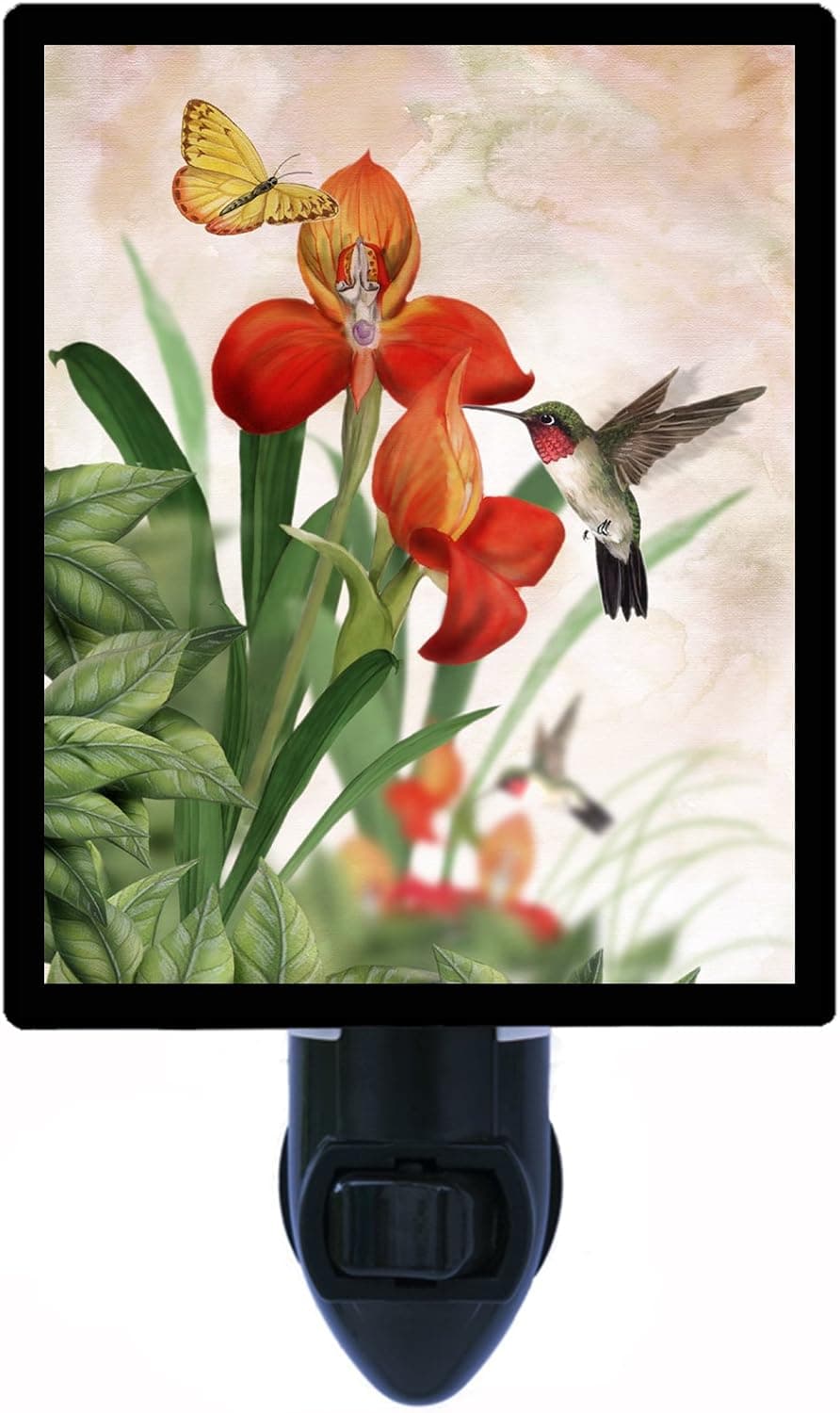 Orchid and Hummingbird Night Light, Birds
