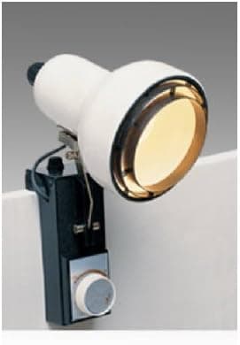 Grandrich BL400 8-Inch Contemporary Bed Lamp With Dimmer - Quantity 1