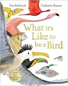 What It's Like to be a Bird