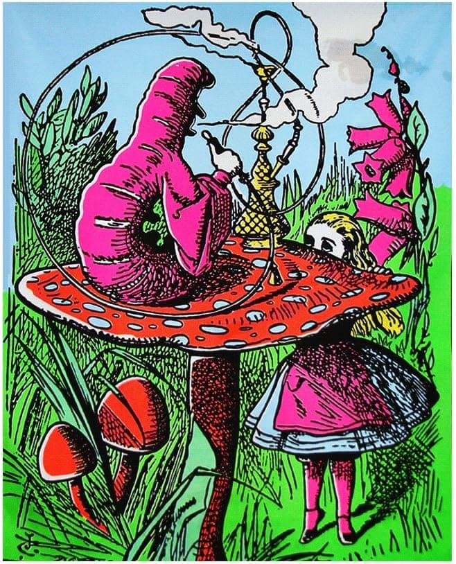 Opticz 1 X Alice in Wonderland Mushroom Caterpillar Blacklight Reactive Cloth Wall Hanging