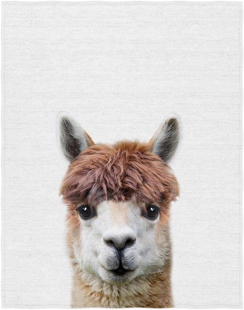 QH 60"x80" Cute Llama Theme Warm & Soft Lightweight Blanket Throw Size for Kids Adults All Season