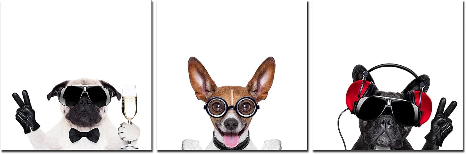 Natural art – Cool Dogs with Glasses Animals Photos to Prints Paintings on Canvas Wooden Framed Ready to Hang (30×30cm×3) (12×12in×3)
