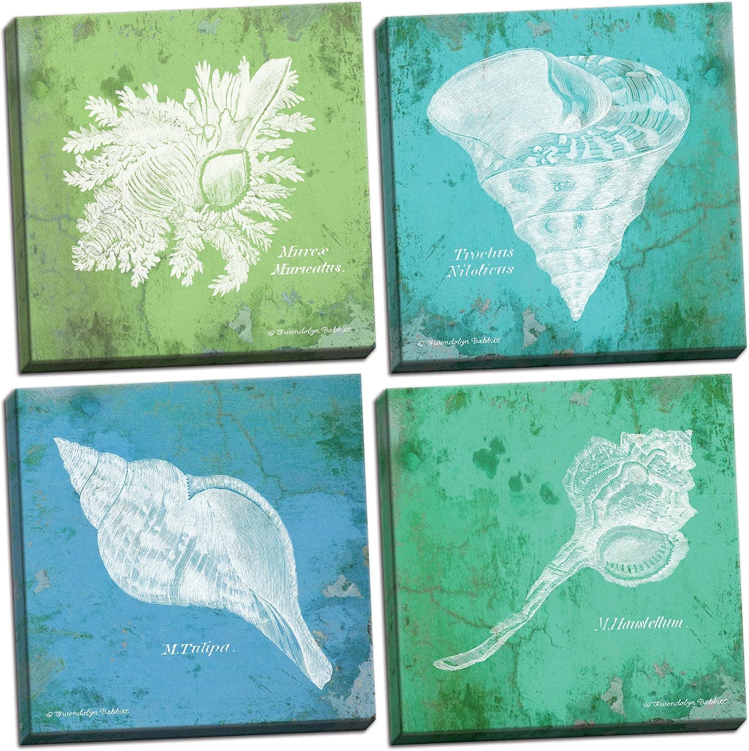 Elegant Retro Shells; Beautiful Hand-Stretched Canvas Coastal Art; 4 12x12in Ready to Hang!