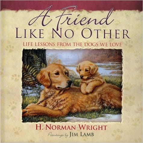A Friend Like No Other