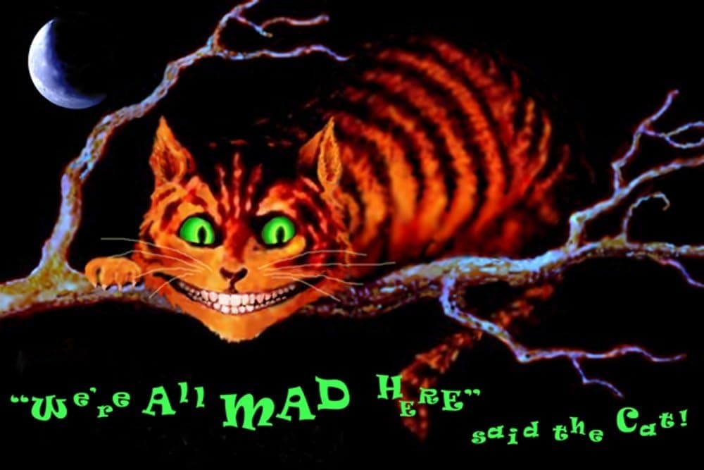Studio B We are All Mad Here Poster
