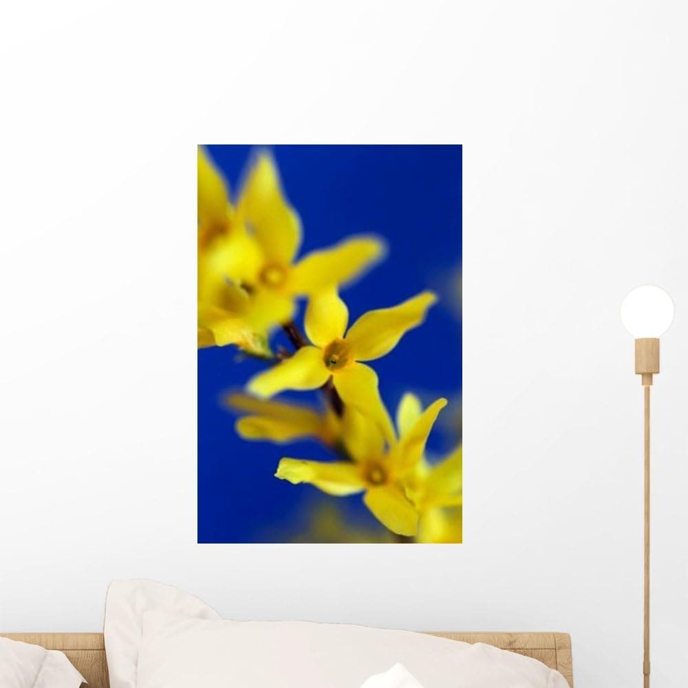 Wallmonkeys Forsythia Flowers Wall Decal Peel and Stick Graphic WM293773 (18 in H x 12 in W)