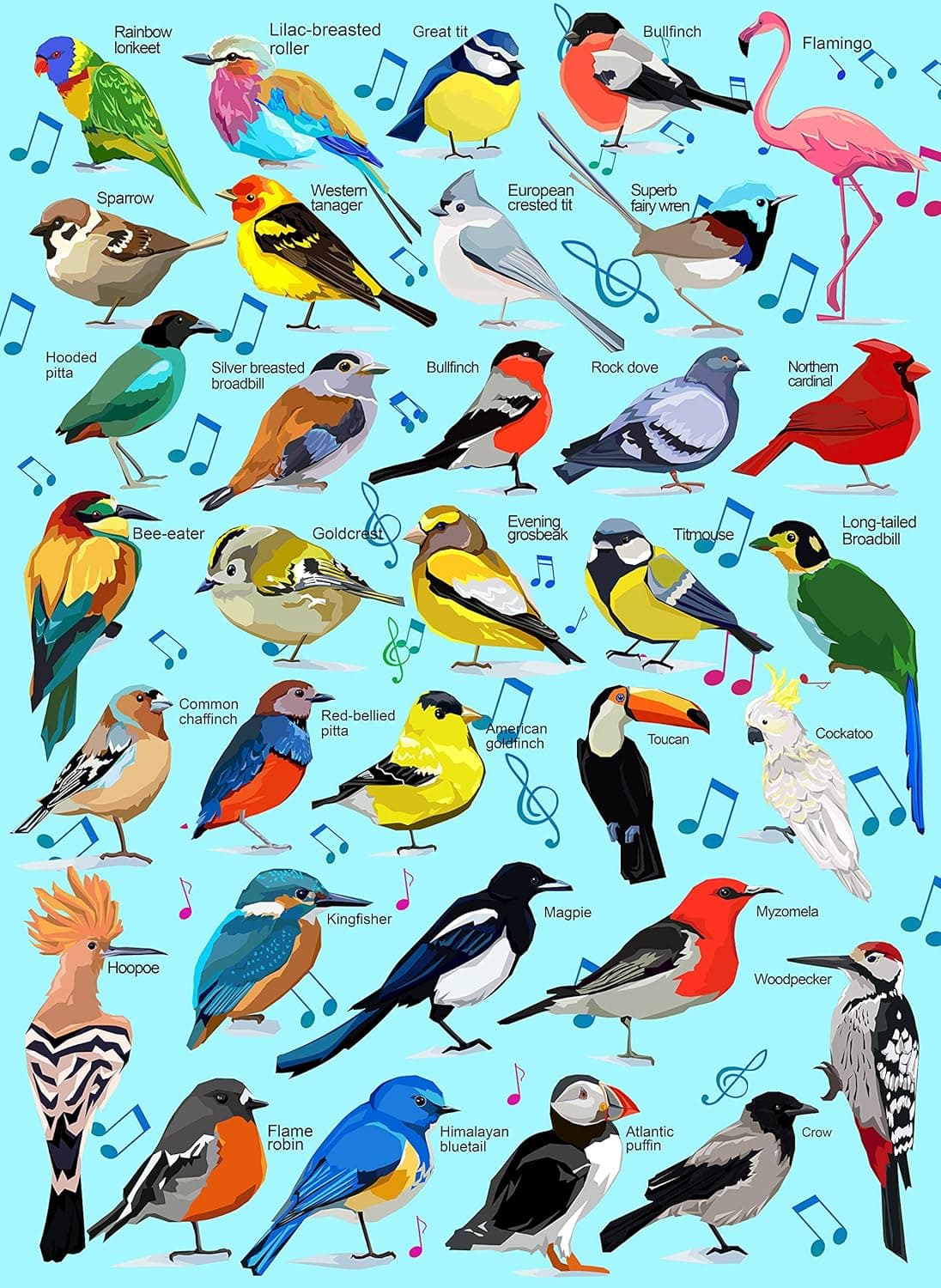 Bird Phonetic Jigsaw Puzzles