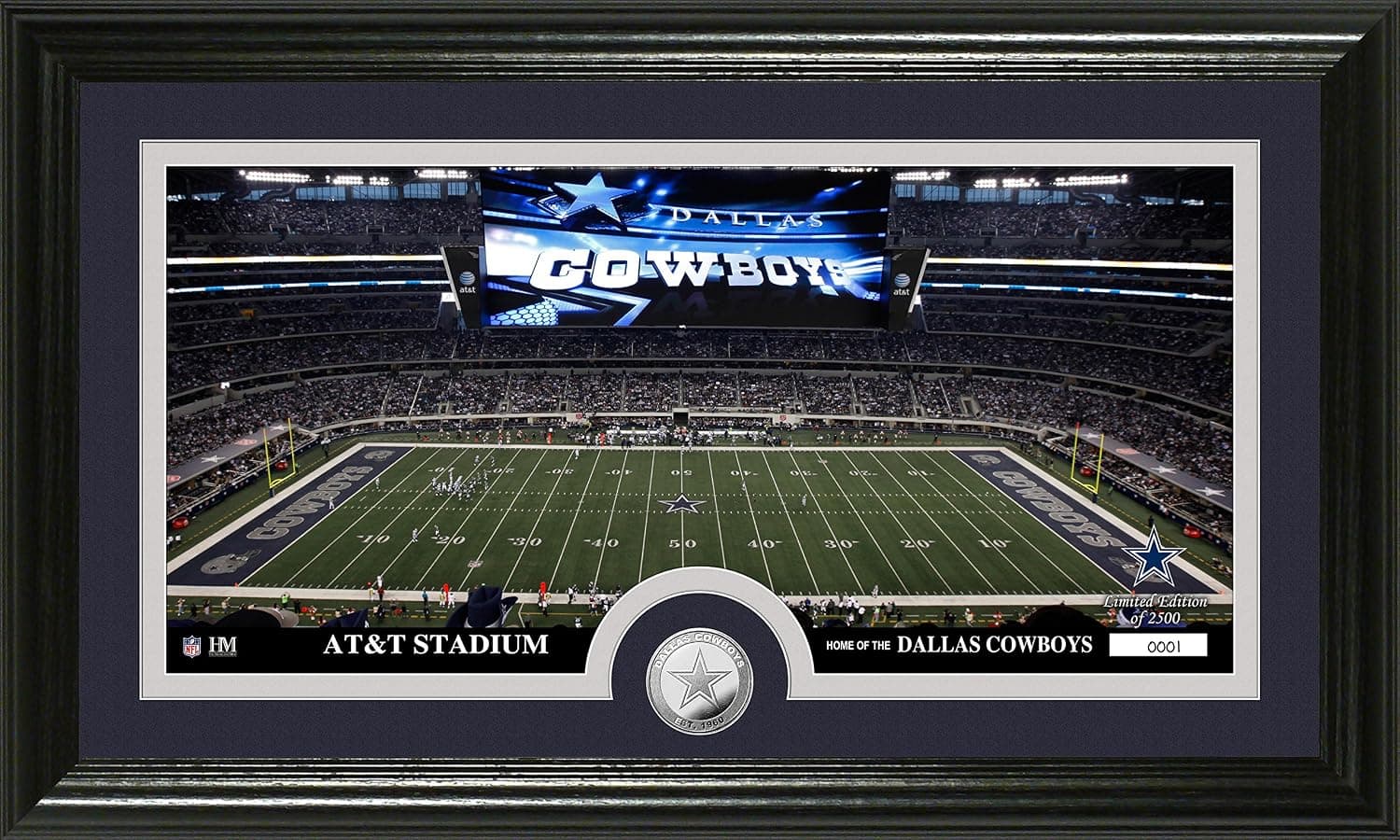 NFL "Stadium" Panoramic Photo Minted Coin
