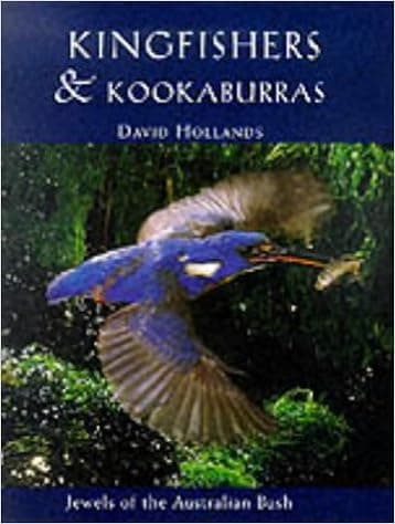 Kingfishers & Kookaburras: Jewels of the Australian Bush