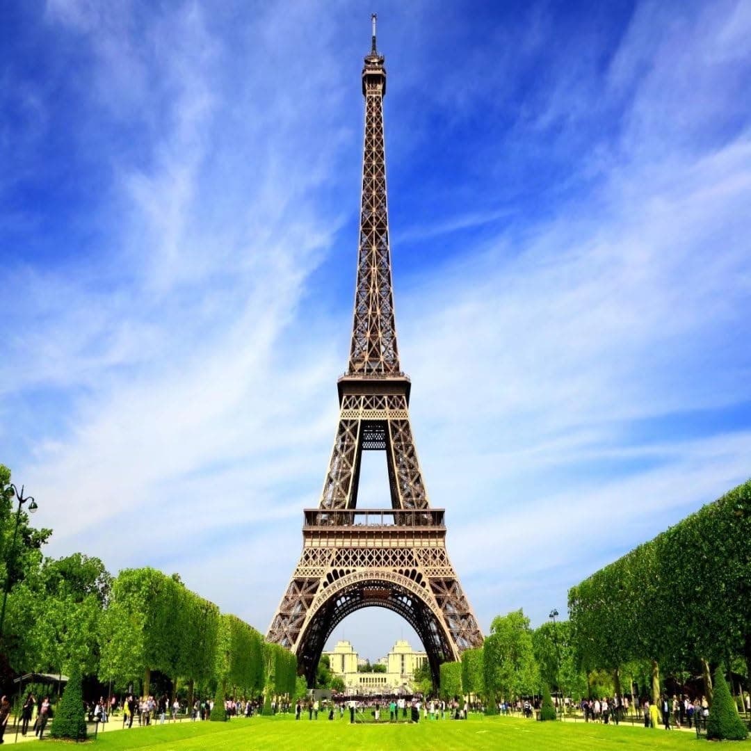 7x5ft Eiffel Tower Digital Backdrops Photography Thick Background Blue Sky Grass Tree Dream for Studio