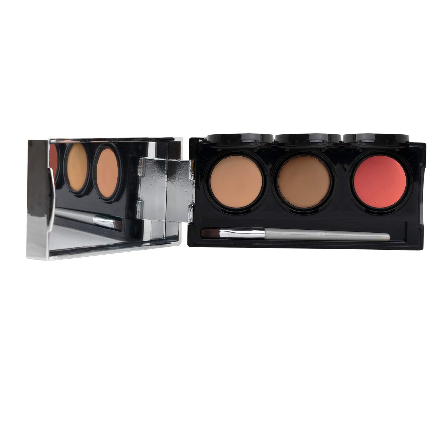 Tattoo Cover Up Makeup, Bruise Concealer, Waterproof, Smudge proof, 3 colors + brush, by Dermaflage, 6.9g/.24oz