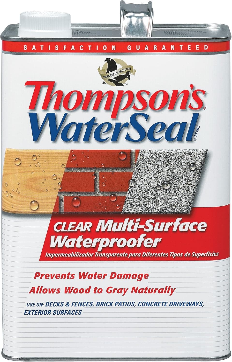 Thompsons Waterseal 24101 1 Gallon Clear Waterseal Multi-Surface Waterproofer