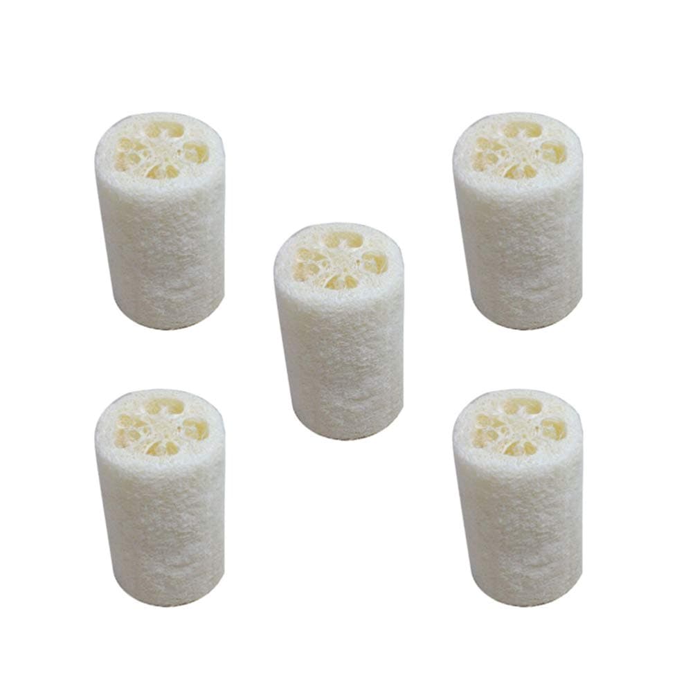 EXCEART Natural Sponge 5pcs Natural Loofah Sponge Organic Shower Loofah Body Scrubber Exfoliating Deeply Washing Cleansing Pad For Bathing Spa Shower Kitchen Pot Bowl 10cm Cleaning Sponge