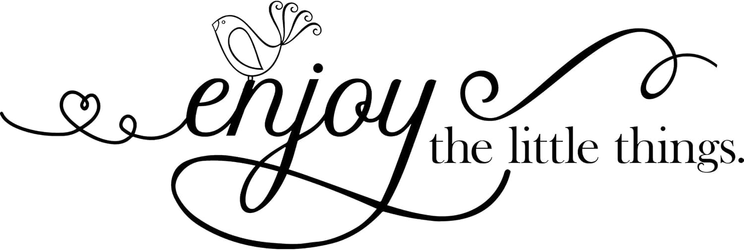 My Vinyl Story Large Enjoy The Little Things Wall Sticker Inspirational Wall Decal Motivational Office Decor Quote Wall Art Vinyl Wall Decal Living Room Bed Room School Classroom Gym Words and Saying