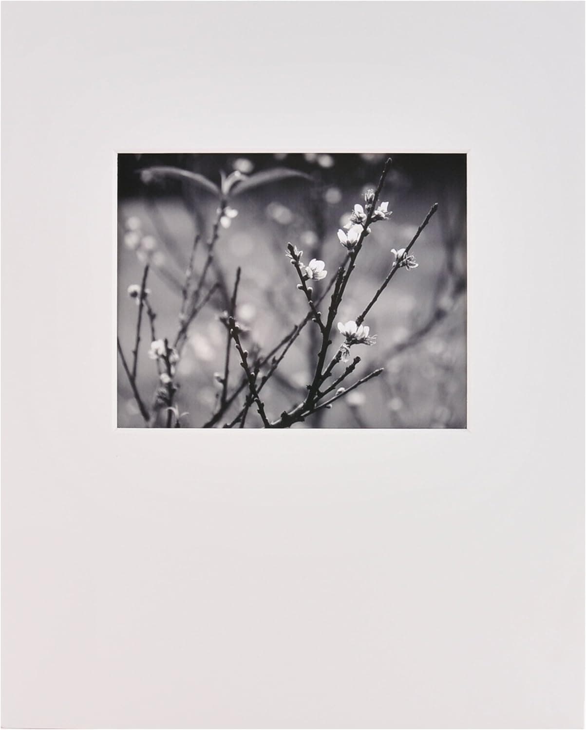 Nielsen Bainbridge, GM10L, ARTCARE Gallery Pre-Cut Museum Mat, 16"X20" with 8"X10" Landscape Image Opening, White, Single Mat