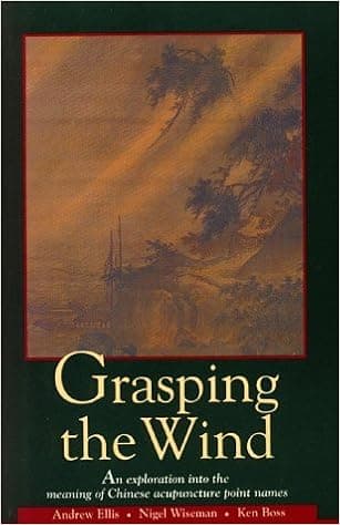 Grasping the Wind: Exploration into the Meaning of Chinese Acupuncture Point Names (Paradigm title) by Andrew Ellis (25-Jan-1993) Paperback