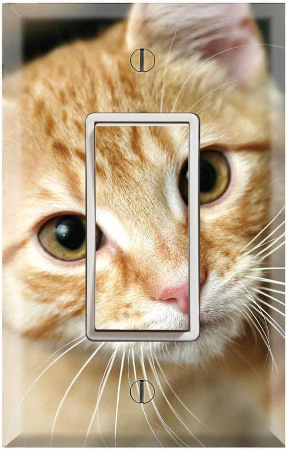 Graphics Wallplates - Kitten Cute Kitty Cat Paw - Single Rocker/GFCI Wall Plate Cover