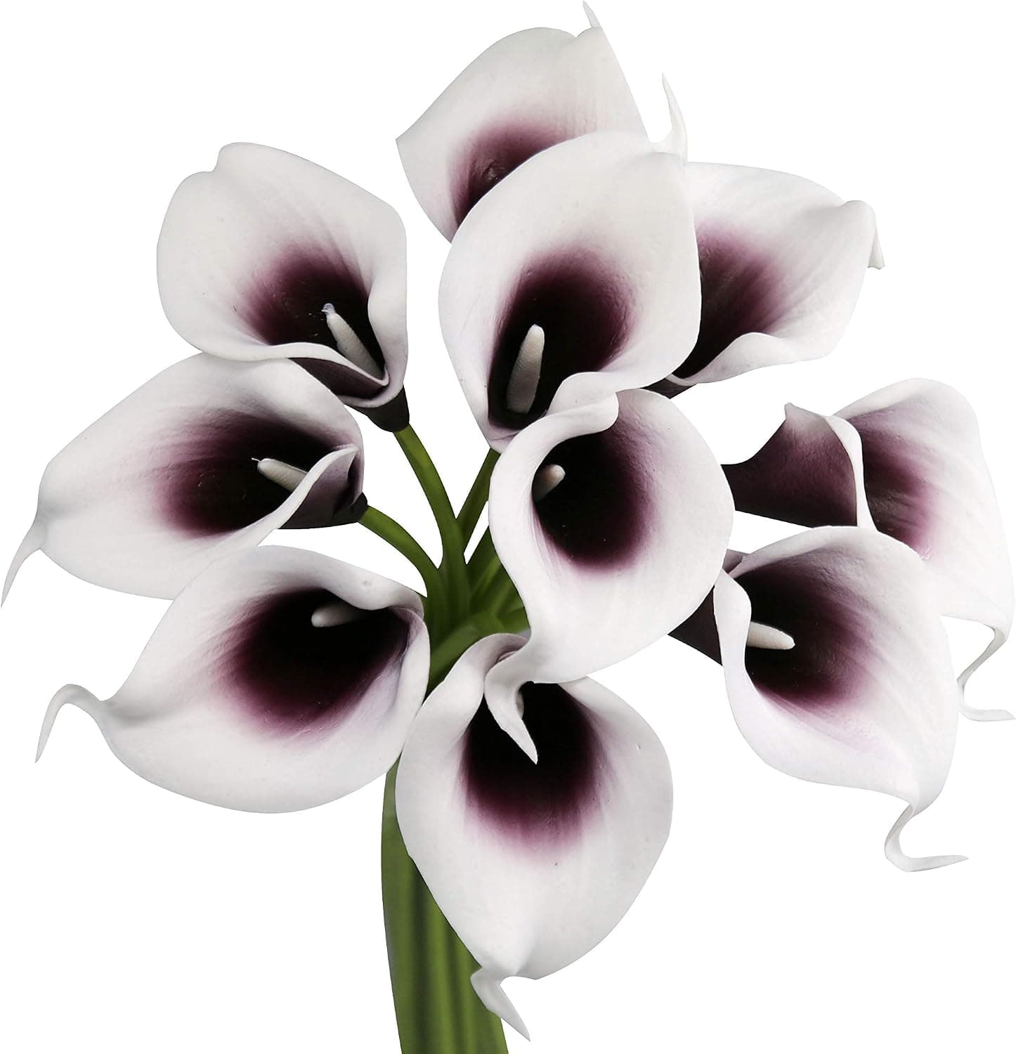 Angel Isabella Lot of 60-Real Touch Calla Lilies (Picasso-Plum)