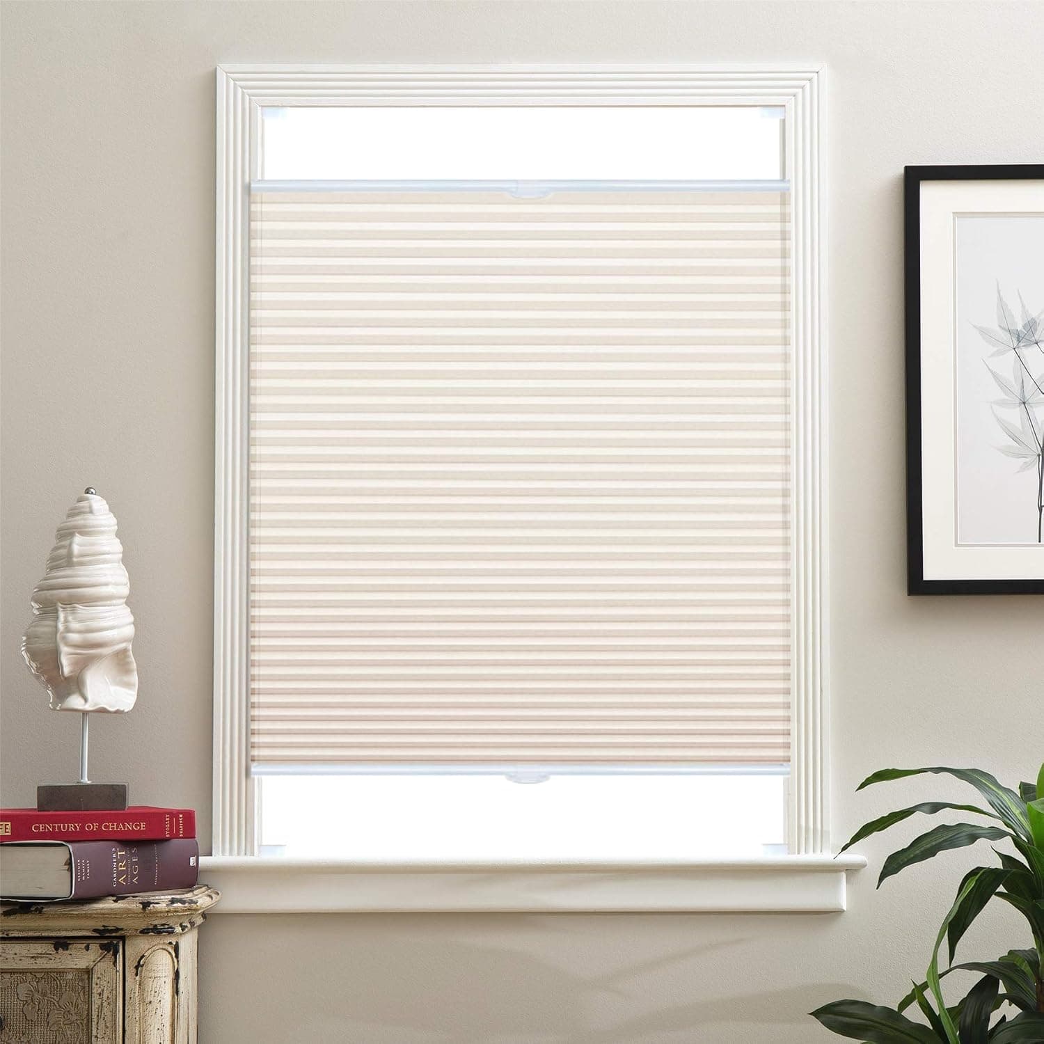 Light Filtering Shades, Top Down Bottom Up Shades, Cellular Shades, Honeycomb Blinds, Cellular Blinds, Honeycomb Shades, Top Down Bottom Up Blinds, Top Down Blinds, Top Down Shades, Up Down Blinds