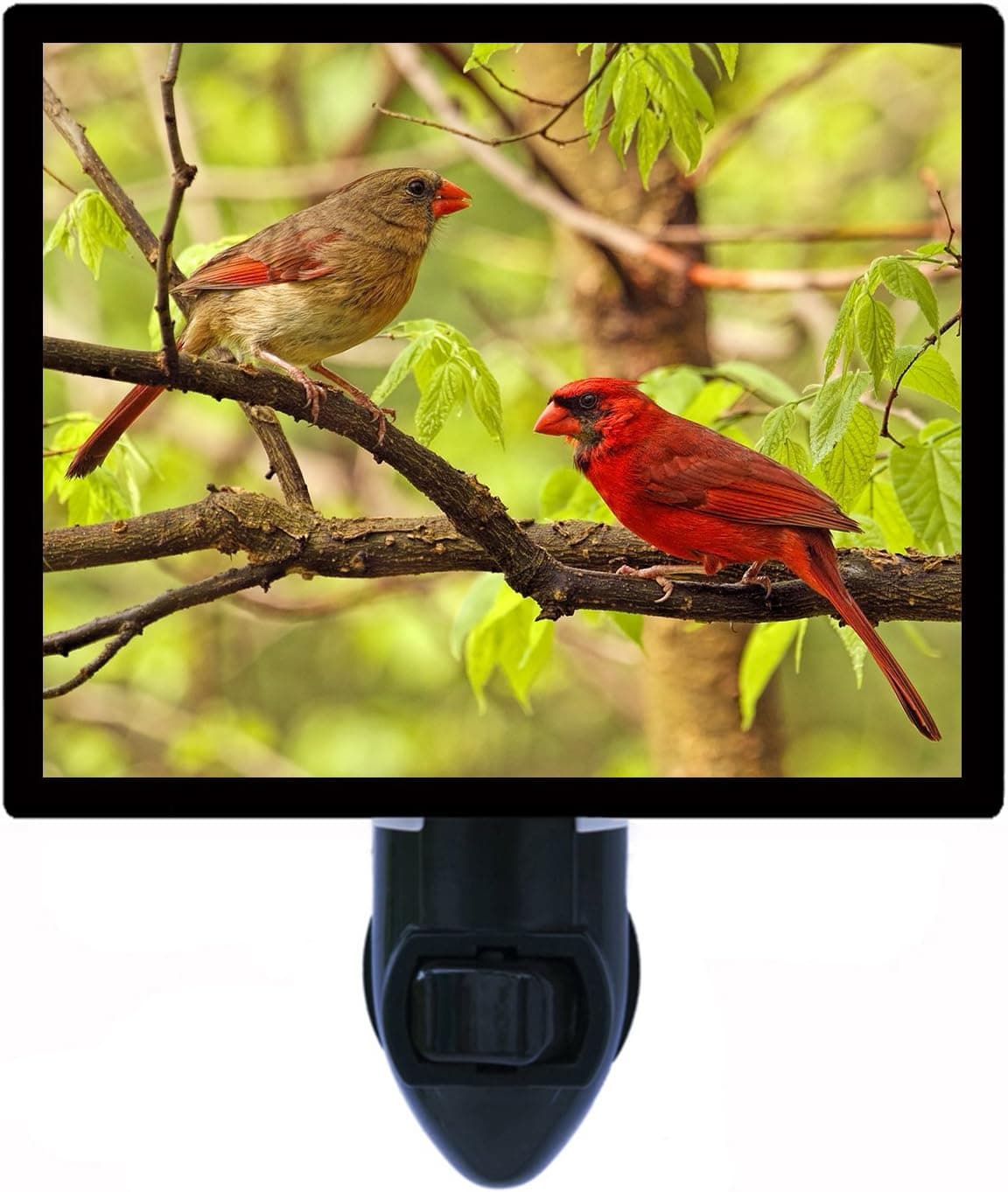 Night Light, Two Cardinals in Tree, Red Birds LED Night Light