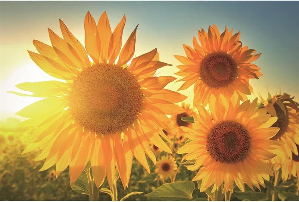 1000 Pieces Sunflowers Wooden Jigsaw Puzzles for Adults Teenagers, Unique Wood Cut Large Jigsaw Puzzle, Personalized Custom Jigsaw Puzzle Entertainment DIY Toys for Christmas Creative Gift Home Decor