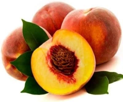 BELLE OF GEORGIA PEACH TREE - 2 Year Old, 4-5 Feet Tall