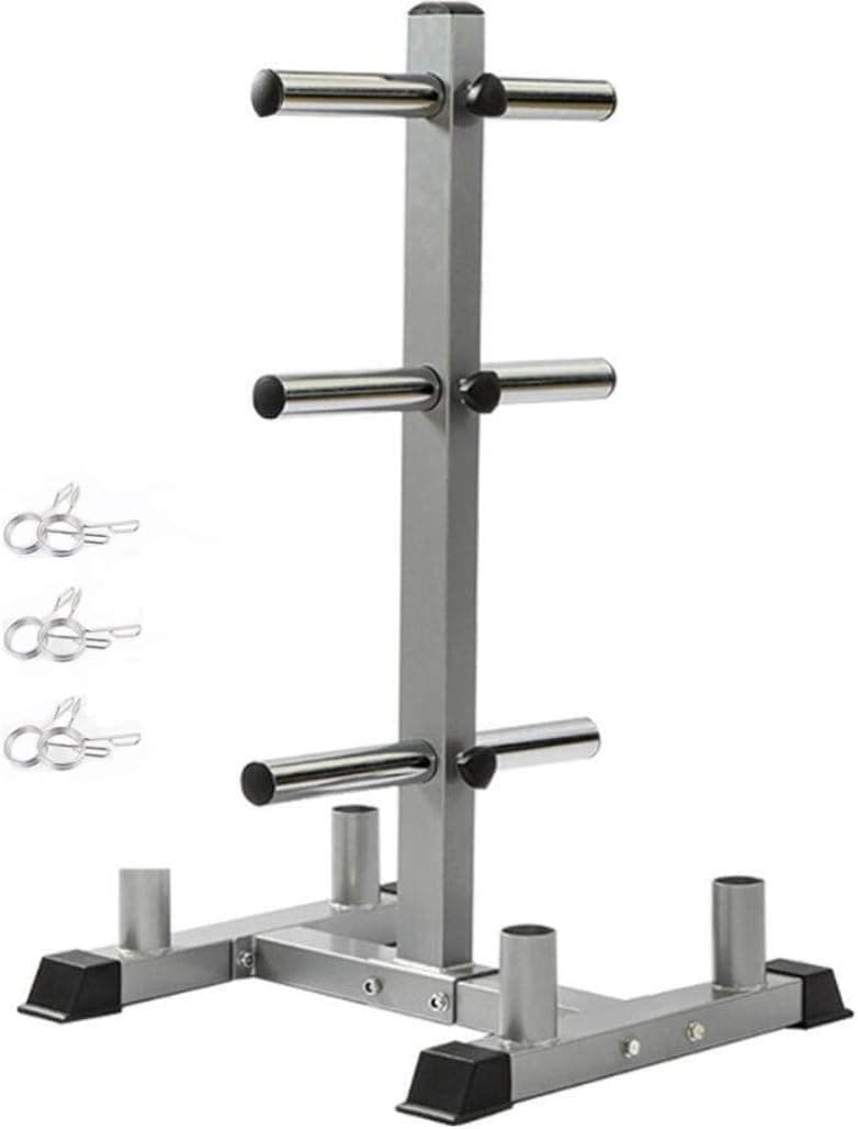 Debonla 2-inch Weight Plate Rack Tree with 4 Barbell Bar Holders, Olympic Weight Organizer Storage Stand, Workout & Lifting Equipment for Home Gym