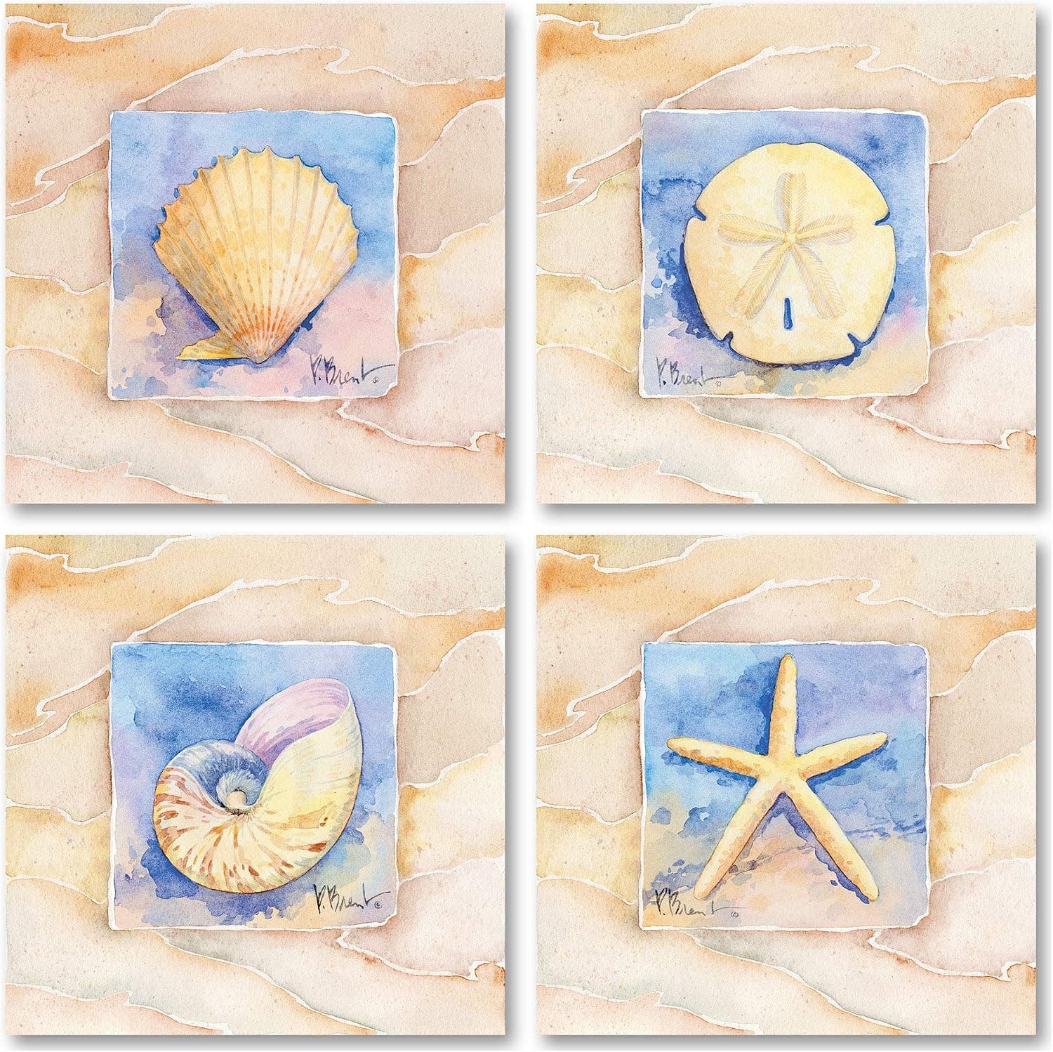 Vintage Starfish, Sand Dollar, Nautilus, & Scallop Prints; Perfect for Framing; 4 8x8 Prints