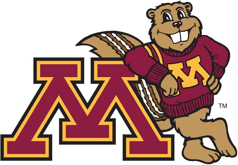 Potter Manufacturing NCAA Unisex NCAA Jumbo Vinyl Transfer -12" Tall-Primary Mascot