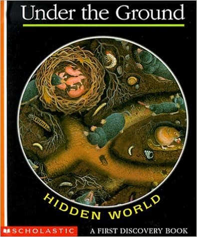 Hidden World: Under the Ground (A First Discovery Book)