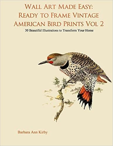Wall Art Made Easy: Ready to Frame Vintage American Bird Prints Vol 2: 30 Beautiful Illustrations to Transform Your Home (American Birds)