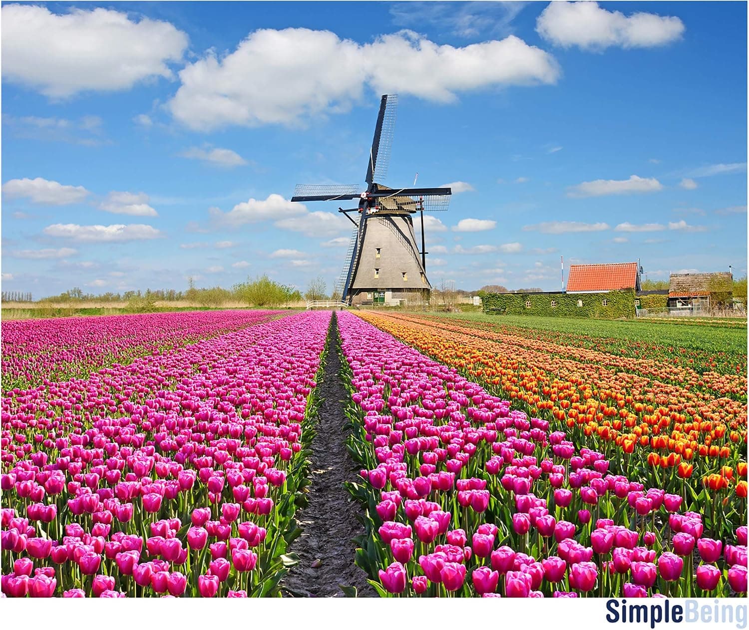 Simple Being 1000 Piece Jigsaw Puzzles, Puzzle Game Toy for Adults and Kids (The Flower Fields)