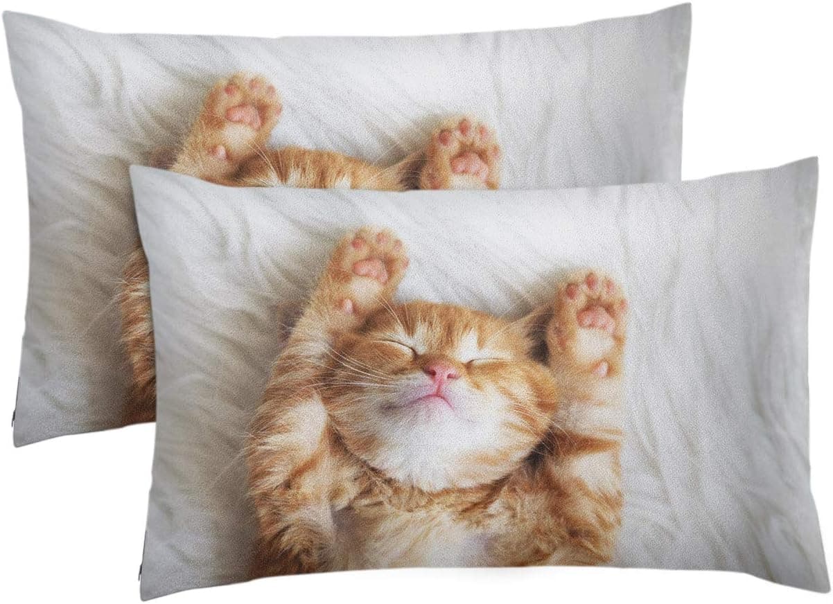 Emvency Set of 2 Queen Throw Pillow Case 12x20 Inches Decorative Cushion Pillowcases Kitten Sleeps on Fur White Blanket Throw Pillow Cover with Hidden Zipper for Bedroom Decor Sofa Couch