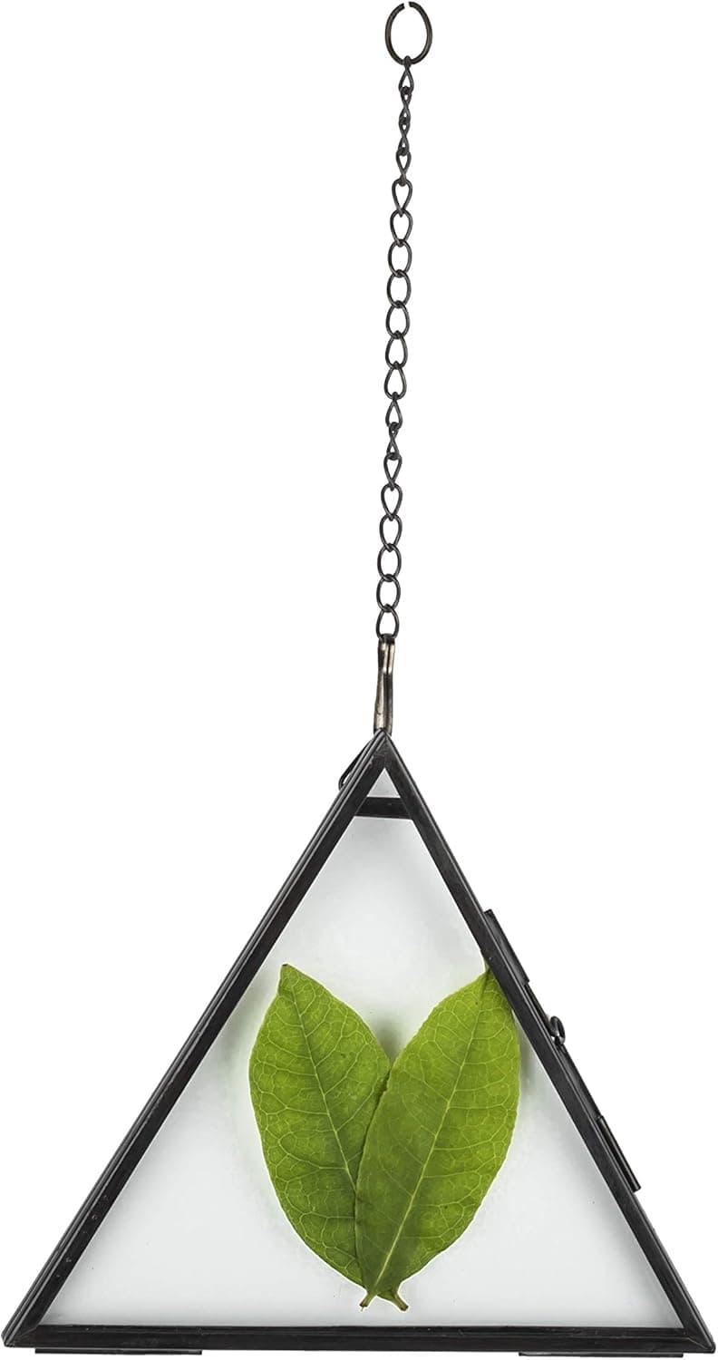 NCYP Small Hanging Black Triangle Herbarium Brass Glass Frame for Pressed Dried Flowers, Side Length 5 inches Double Glass Frame, Floating Frame Style, Glass Frame Only