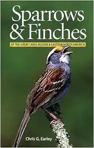 Sparrows and Finches of the Great Lakes Region and Eastern North America