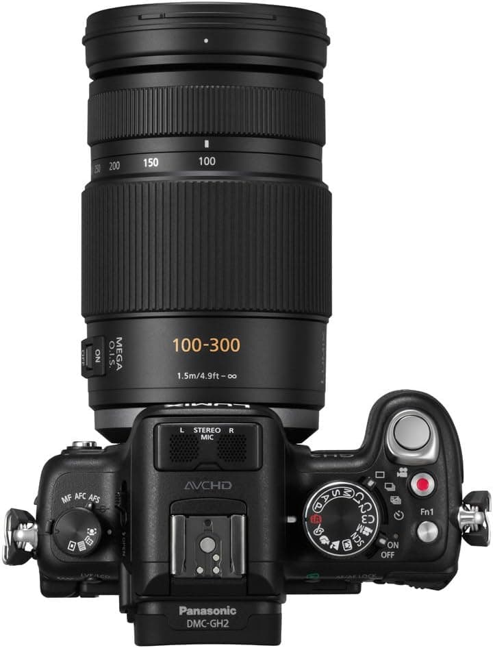 PANASONIC LUMIX G VARIO LENS, 100-300MM, F4.0-5.6 ASPH., MIRRORLESS MICRO FOUR THIRDS, MEGA OPTICAL I.S., H-FS100300 (USA BLACK)