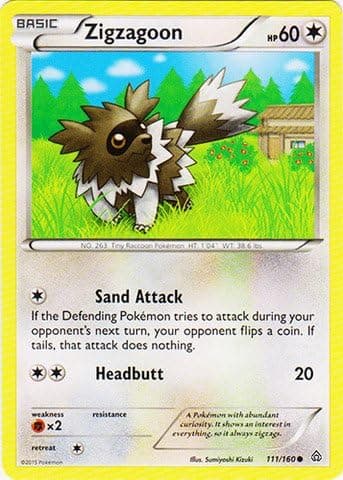 Pokemon - Zigzagoon (111/160) - XY Primal Clash