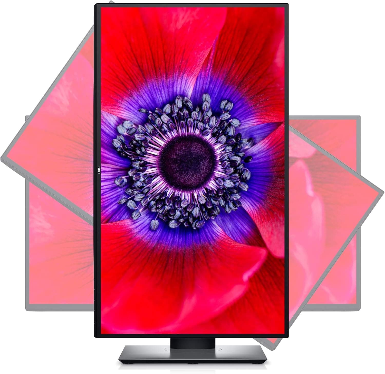 Dell U2520DR 25 Inch 1440p QHD UltraSharp, IPS Thin Bezel Monitor, HDMI, DisplayPort, USB-C, VESA Certified, Black