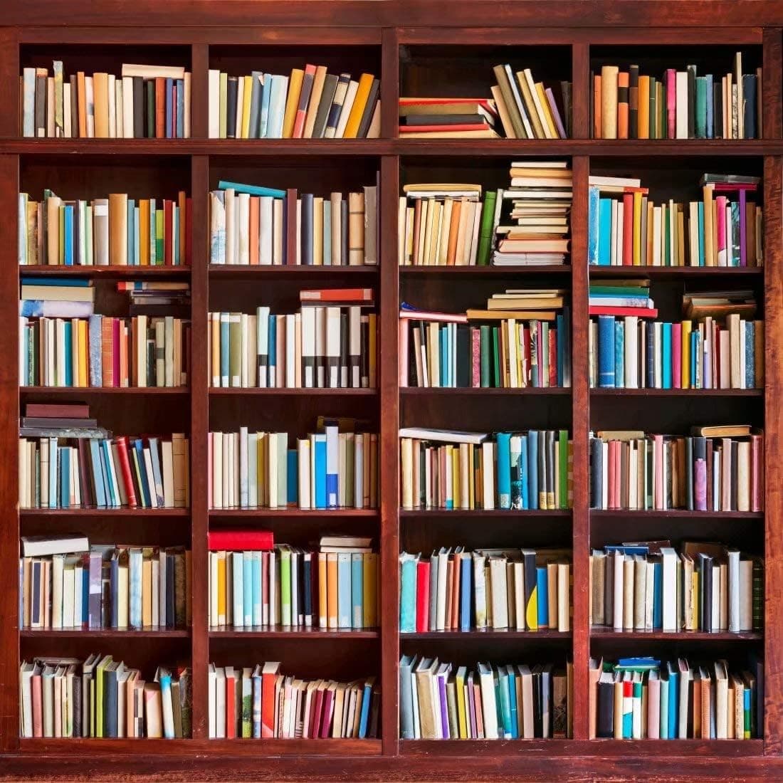 BELECO 6x6ft Bookshelf Backdrop school Library Phtography Backdrop online teaching photo backdrop office video conference zoom meeting YouTube Video backdrop portrait Photoshoot Photo Background Props