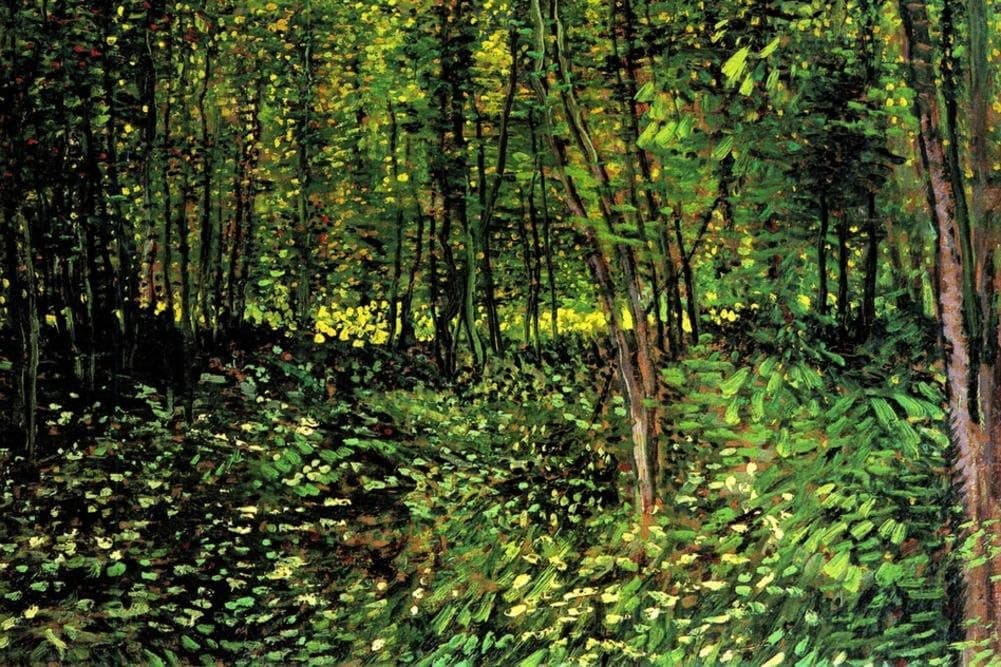 Vincent van Gogh Trees and Undergrowth Forest Art Print by Vincent van Gogh 24 x 36in with Poster Hanger