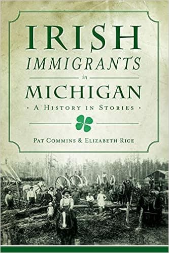 Irish Immigrants in Michigan: A History in Stories (American Heritage)