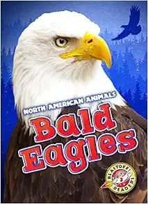 Bald Eagles (Blastoff! Readers: North American Animals) (North American Animals: Blastoff Readers, Level 3)