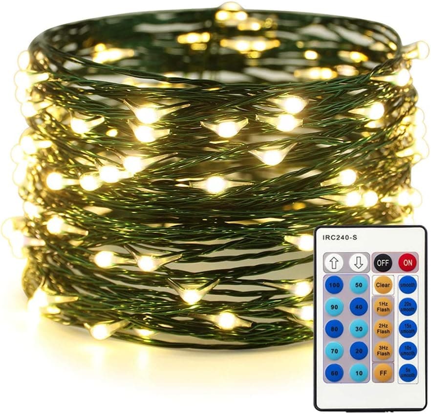 ER CHEN Dimmable LED String Lights Plug in, 33ft 100 LED Waterproof Fairy Lights with Remote, Indoor/Outdoor Copper Wire Christmas Lights for Bedroom, Patio, Garden, Yard (Green Wire, Warm White)