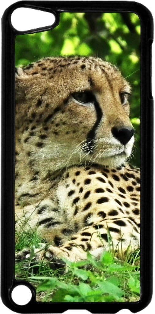 Cheetah Jacks Outlet TM Hard Black Plastic Case for The Apple iPod Touch 6th Generation