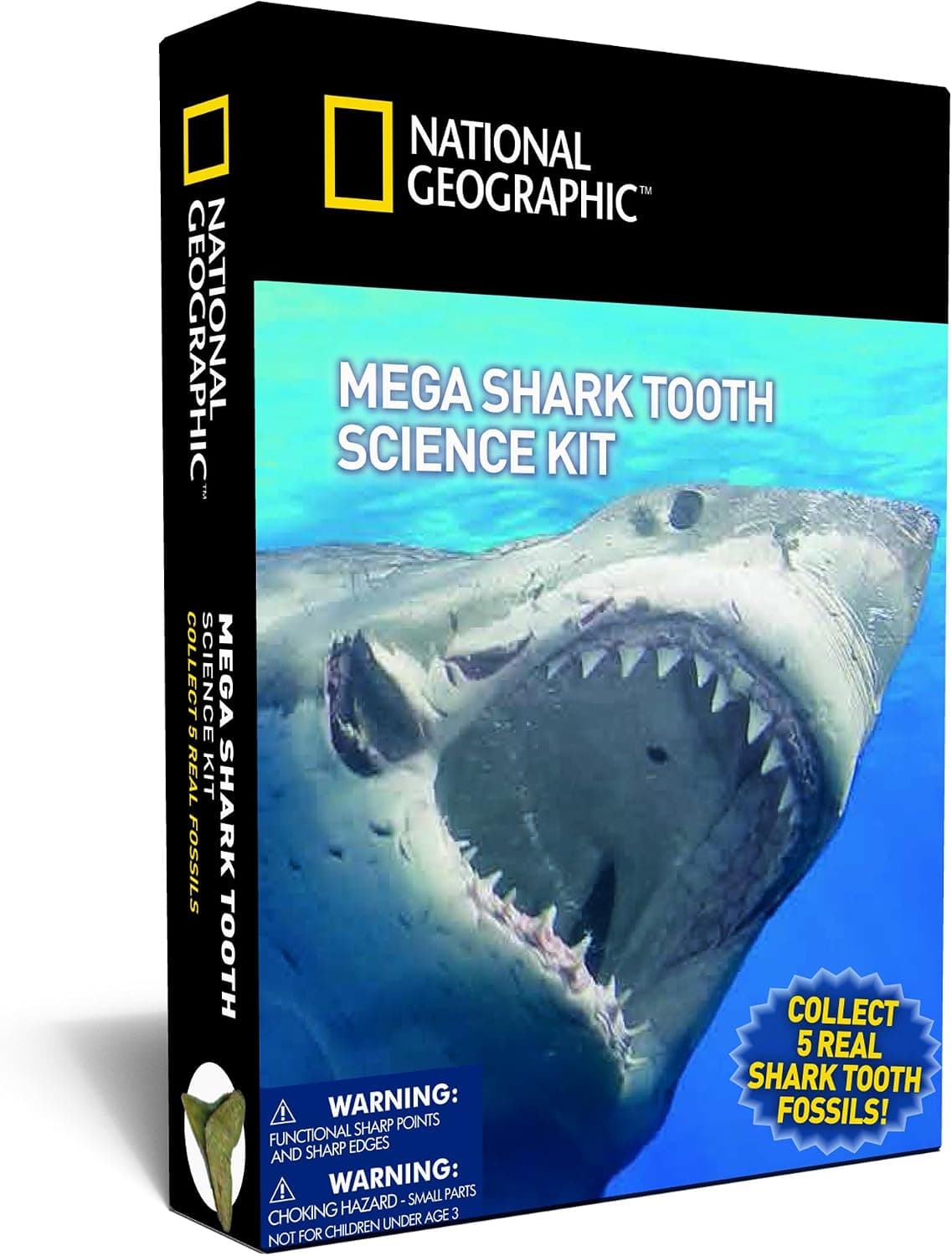 NATIONAL GEOGRAPHIC Mega Shark Tooth Science – Collect 5 Real Shark Teeth