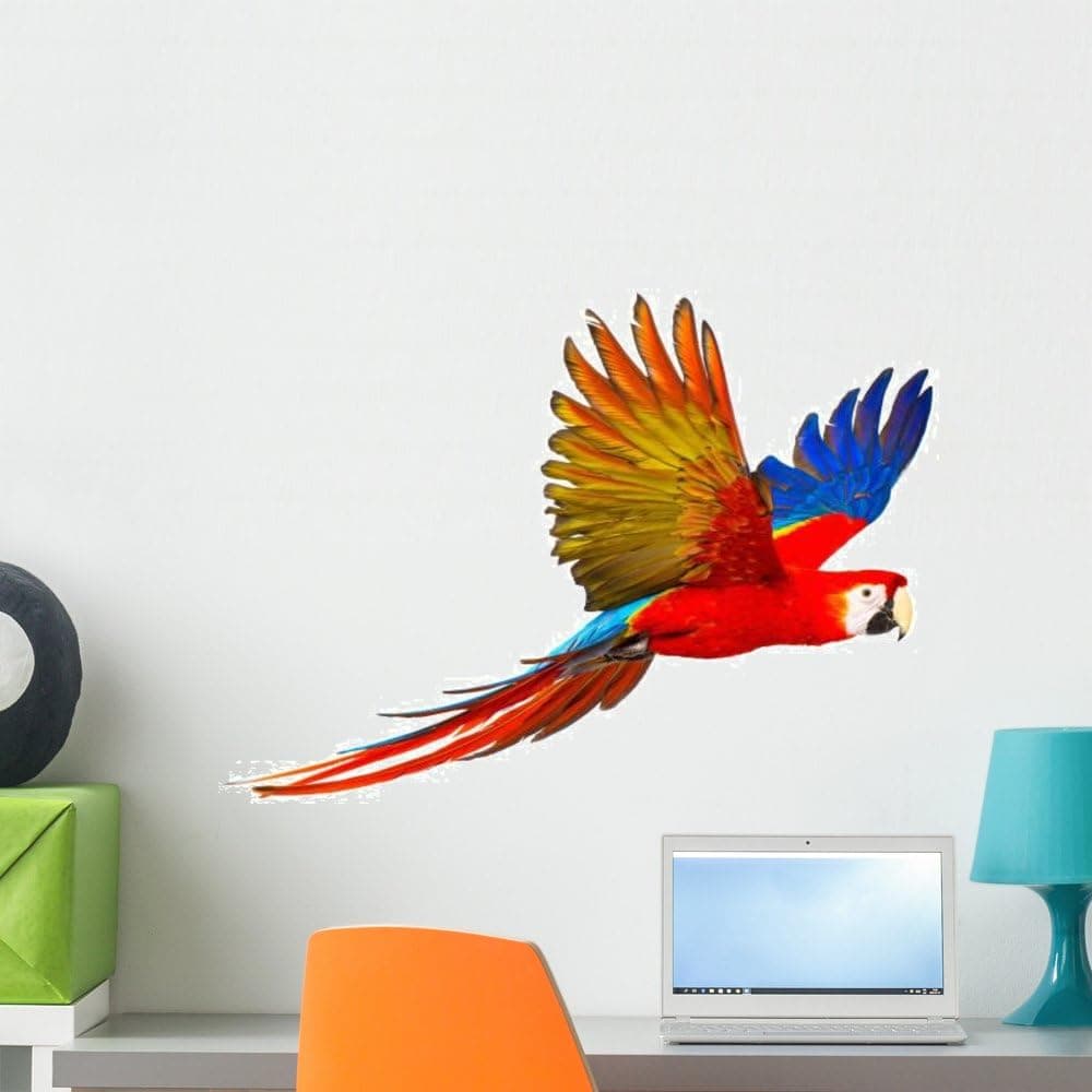 Wallmonkeys Colourful Flying Parrot White Wall Decal Peel and Stick Animal Graphics (24 in W x 16 in H) WM261762