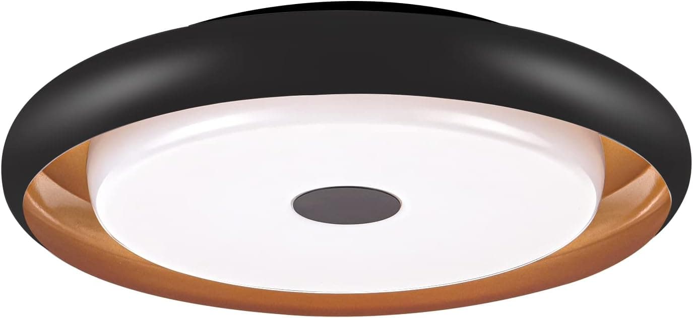 5CCT LED Flush Mount Ceiling Light, 13 Inch 25W Modern Black Ceiling Light Fixture, 2700K/3000K/3500K/4000K/5000K Adjustable, Dimmable Ceiling Light for Bedroom Hallway Living Room, CRI85+ 2000LM