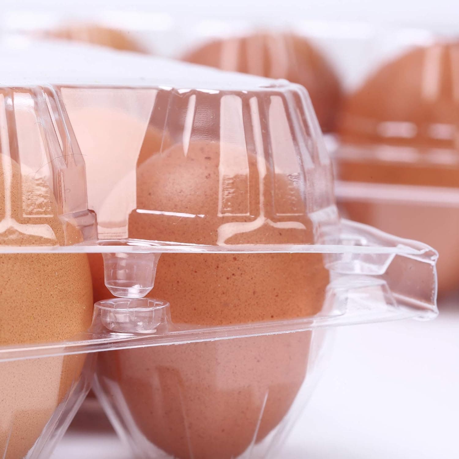 ISINSER 50 Pack of Clear Plastic Egg Cartons with Sticker Labels NO EGGS! Holds 6 Eggs Securely Bulk, Premium Eco-Friendly (50pcs 6 Eggs)