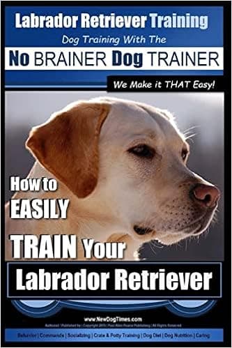 Labrador Retriever Training | Dog Training with the No BRAINER Dog TRAINER ~ We Make it THAT Easy! |: How To EASILY TRAIN Your Labrador Retriever