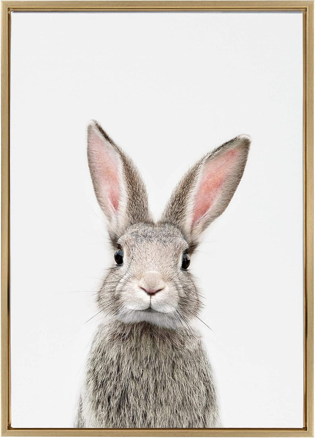 Kate and Laurel Sylvie Female Baby Bunny Rabbit Animal Print Portrait Framed Canvas Wall Art by Amy Peterson, 23x33 Gold